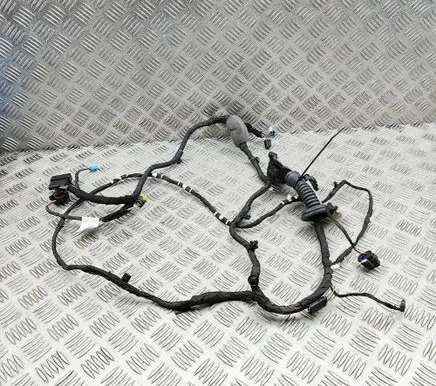 BMW X7 G07 Front door wiring loom 5A5B6B2