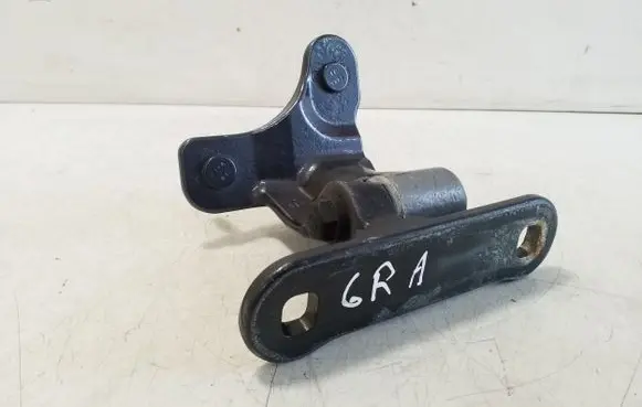 Rear door lower hinge