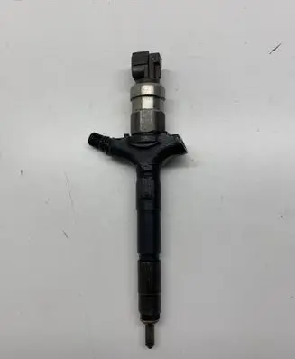 Renault Espace - Grand espace IV Fuel injector 8972391617
