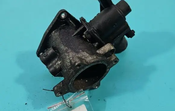 EGR valve
