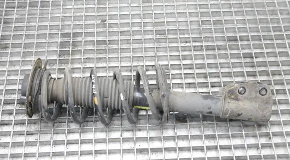 Opel Antara Front shock absorber/damper 95147607