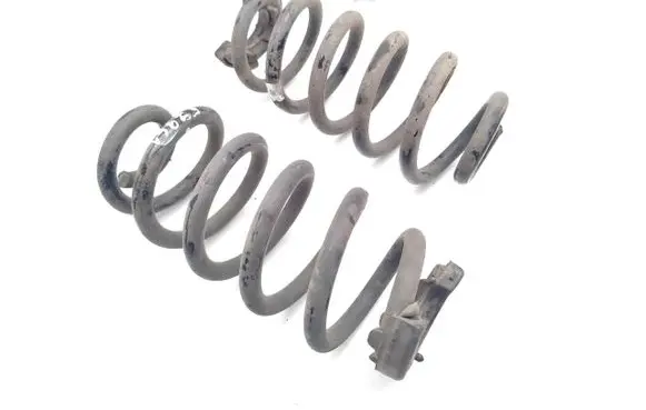 Rear coil spring