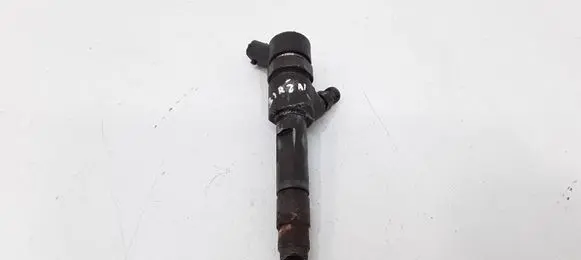 Renault Megane II Fuel injector 8200389369