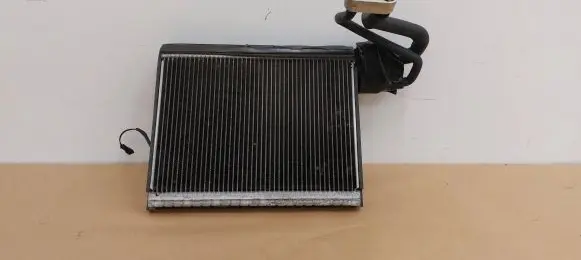Land Rover Range Rover Sport L320 Air conditioning (A/C) radiator (interior) 