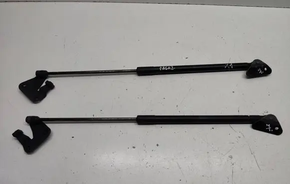 BMW X1 E84 Tailgate/trunk strut/damper 2990136 0163930460N 51242990136