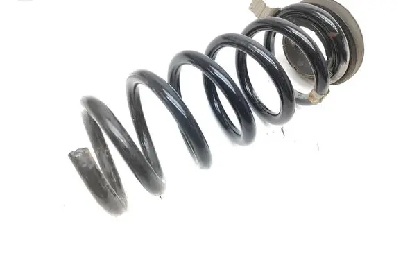 Ford Edge II Rear coil spring F2GC5560BND Q48PA