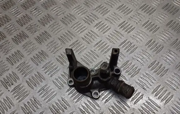 Thermostat/thermostat housing