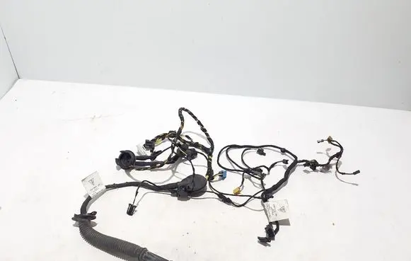Porsche Cayenne (9Y0 9Y3) Other wiring loom 9Y0971694FL