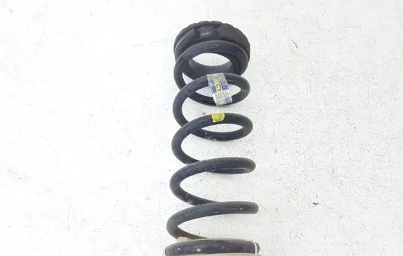Ford Fusion II Rear coil spring DG9C5560 DG9C5560ANG Q48PA