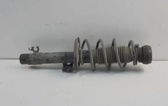 Skoda Fabia Mk3 (NJ) Front shock absorber/damper MGA5793