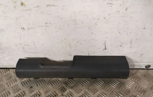 Hyundai Santa Fe Front sill trim cover 85880S2000