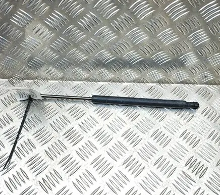 Renault Arkana Front bonnet/hood damper/strut 654705025R