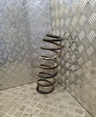 Rear coil spring