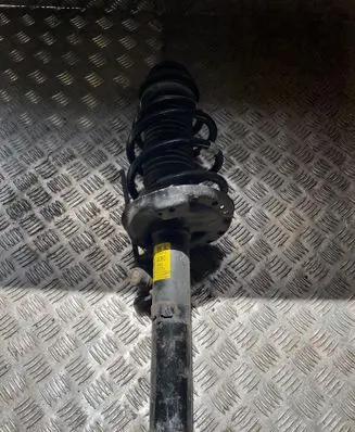 Opel Cascada Front shock absorber with coil spring 13427149 522953660 0425