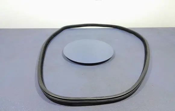 BMW X6 M Front door rubber seal 7317822