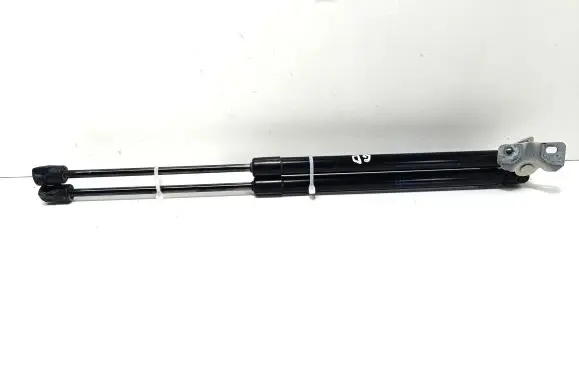 Renault Captur Tailgate/trunk strut/damper 904508505R