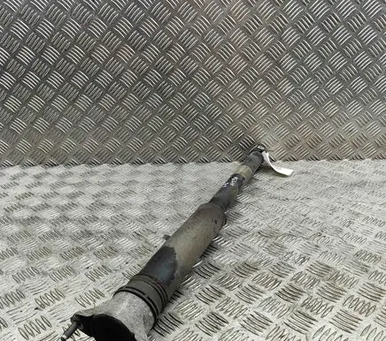 Mercedes-Benz A W177 Rear shock absorber/damper A1773206900