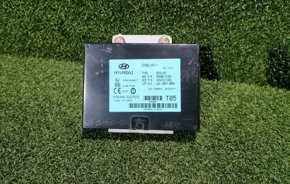 Hyundai Getz Immobilizer control unit/module 97RA010017