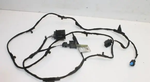 Toyota Supra A90 Other wiring loom 11107810