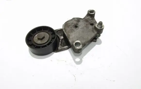 Volvo C30 Alternator belt tensioner 418484