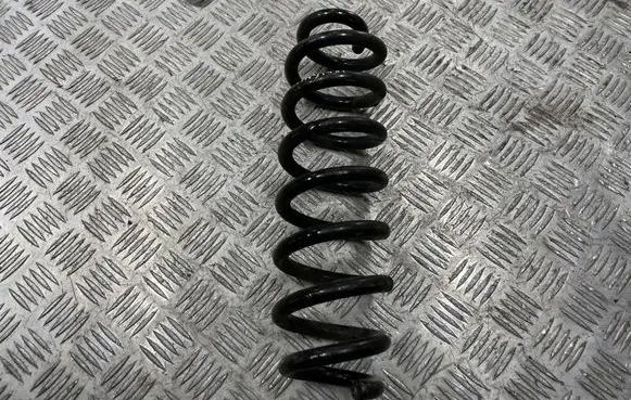 Opel Insignia B Rear coil spring