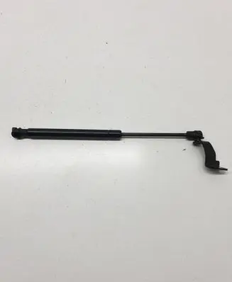 Tailgate/trunk strut/damper