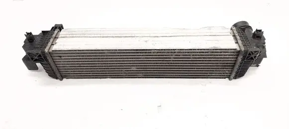 Intercooler radiator