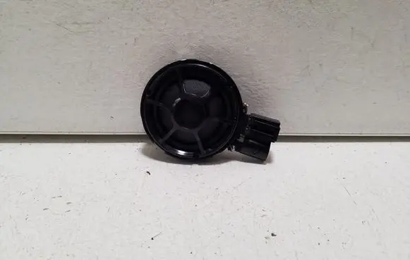 Front door high frequency speaker