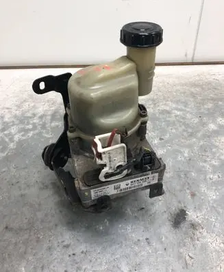 Dacia Dokker Power steering pump 491100842R