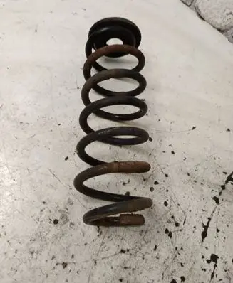 Volkswagen PASSAT B6 Rear coil spring