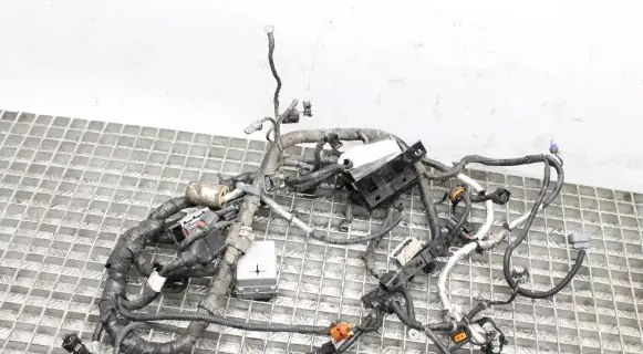 Opel Antara Engine installation wiring loom 95055504