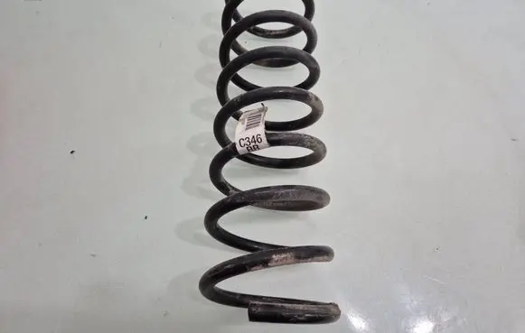 Rear coil spring