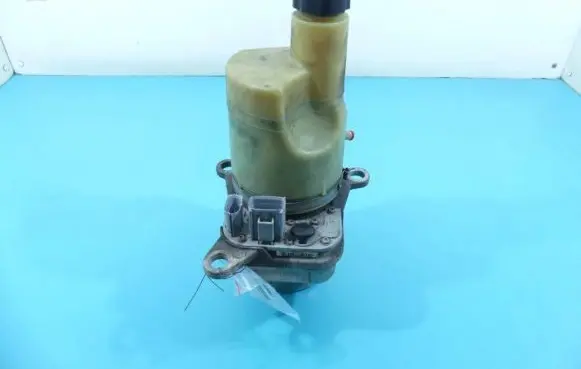 Electric power steering pump