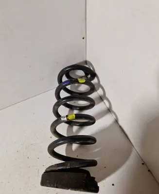 Rear coil spring