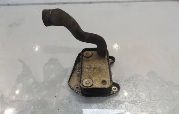 Mercedes-Benz Vito Viano W639 Engine oil radiator A6111880301 97925 200804