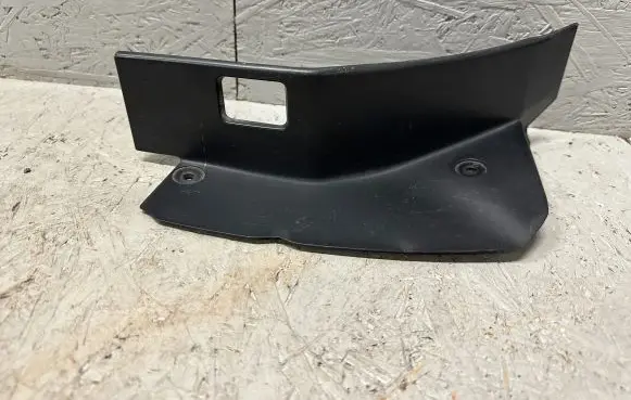 Rear/tail light trim molding