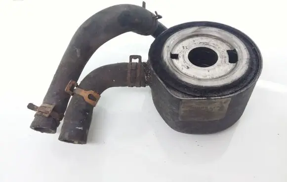 Renault Megane II Oil filter mounting bracket 8200068115A
