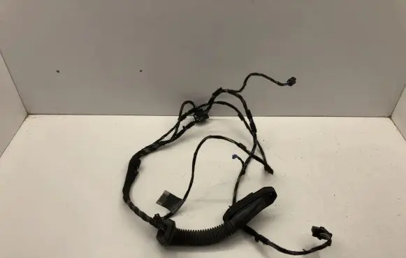 BMW 3 E90 E91 Front door wiring loom 6925548