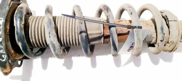 Toyota Corolla Verso AR10 Rear coil spring