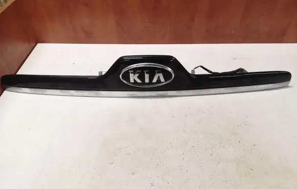 Trunk door license plate light bar