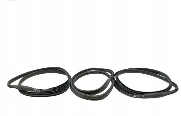 Volvo S40 Rubber seal front door (on door) 