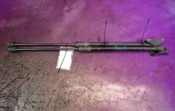 Tailgate strut