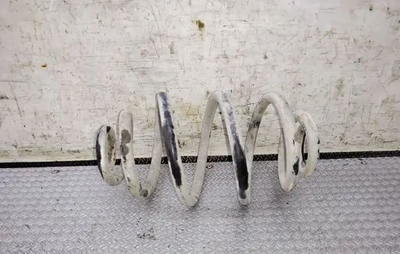 Volkswagen PASSAT B5.5 Rear coil spring