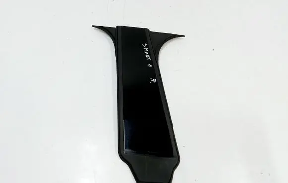 Smart #1 (C) pillar trim 8891589467