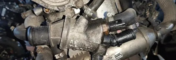 Alfa Romeo 156 Engine coolant pipe/hose