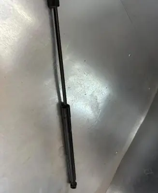 Tailgate strut
