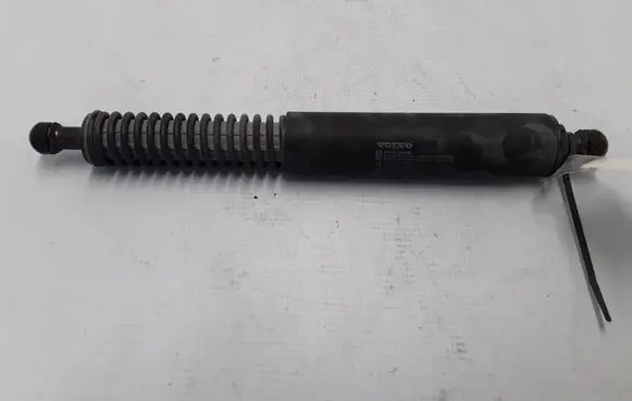 Tailgate strut