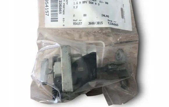 Citroen Berlingo Front door check strap stopper 9181G4