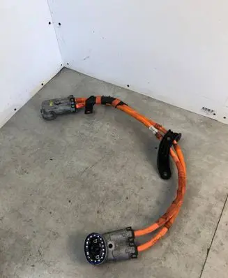 Other wiring loom