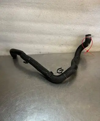 Renault Austral Engine coolant pipe/hose 215019036R